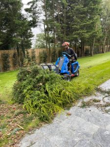 MultiOne mini loader 1 series with silage fork moving tree branches