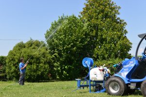 sprayer on a green tree
