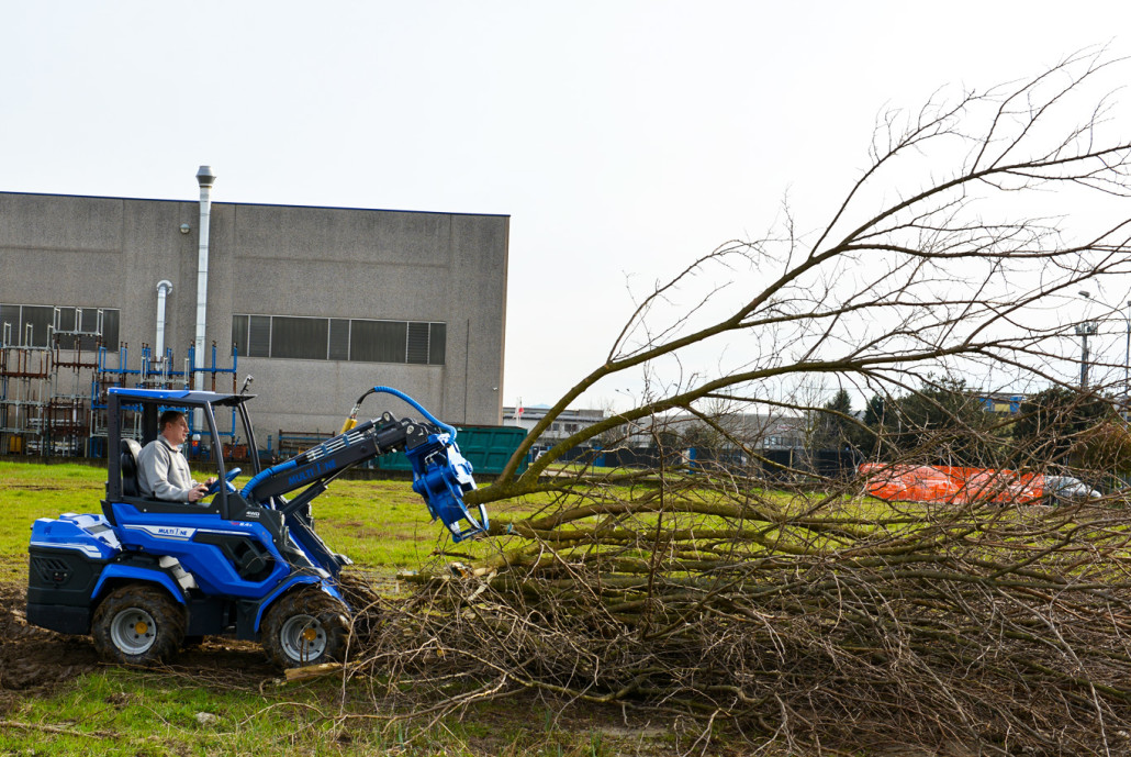 tree shear cutting trees