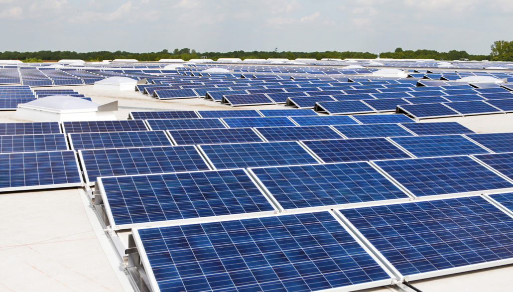 field full of solar panels