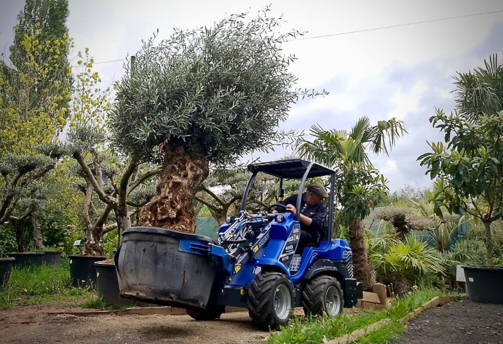Grounds care, Landscaping & Forestry